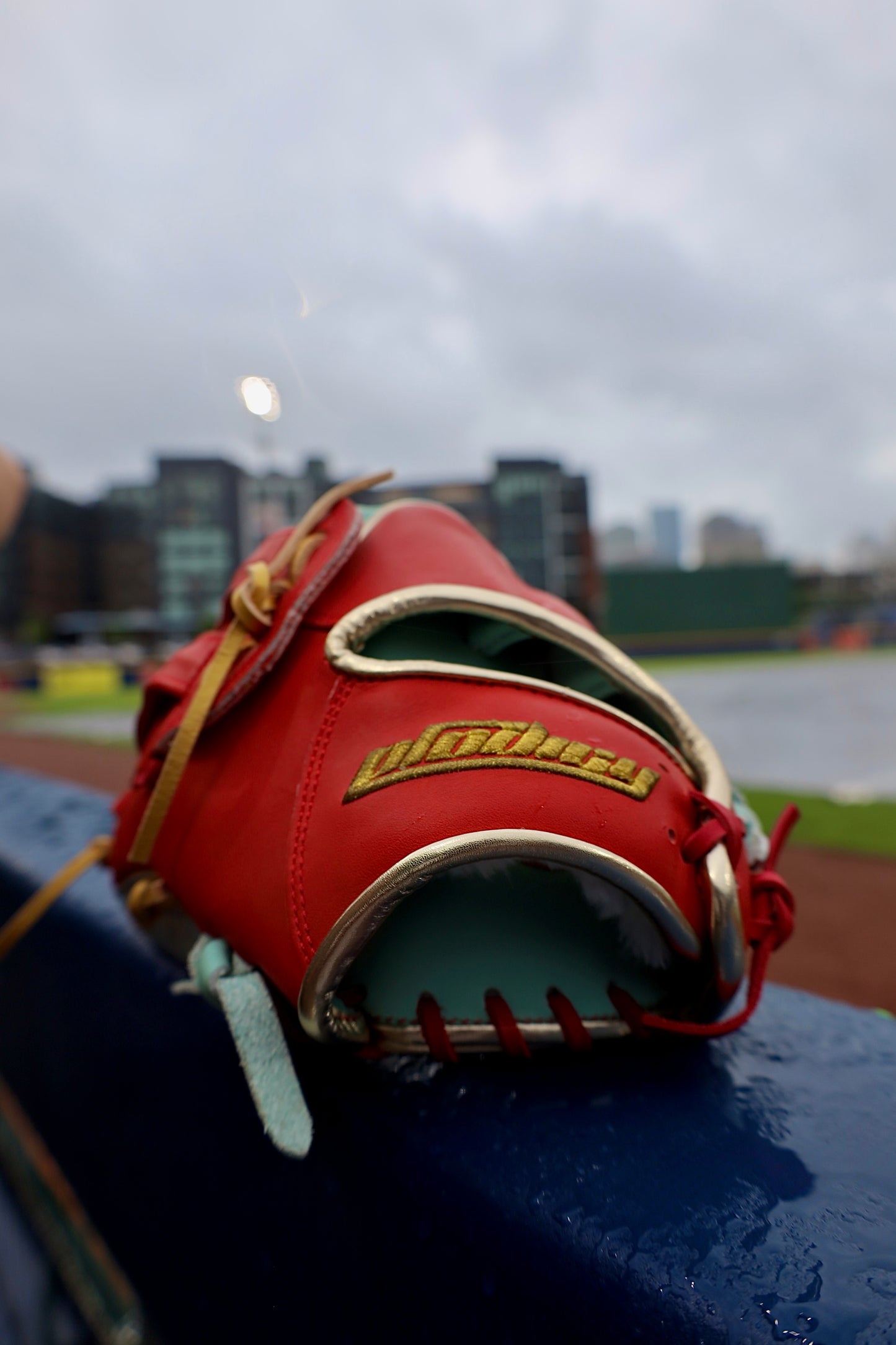 Prodigy Outfield Glove