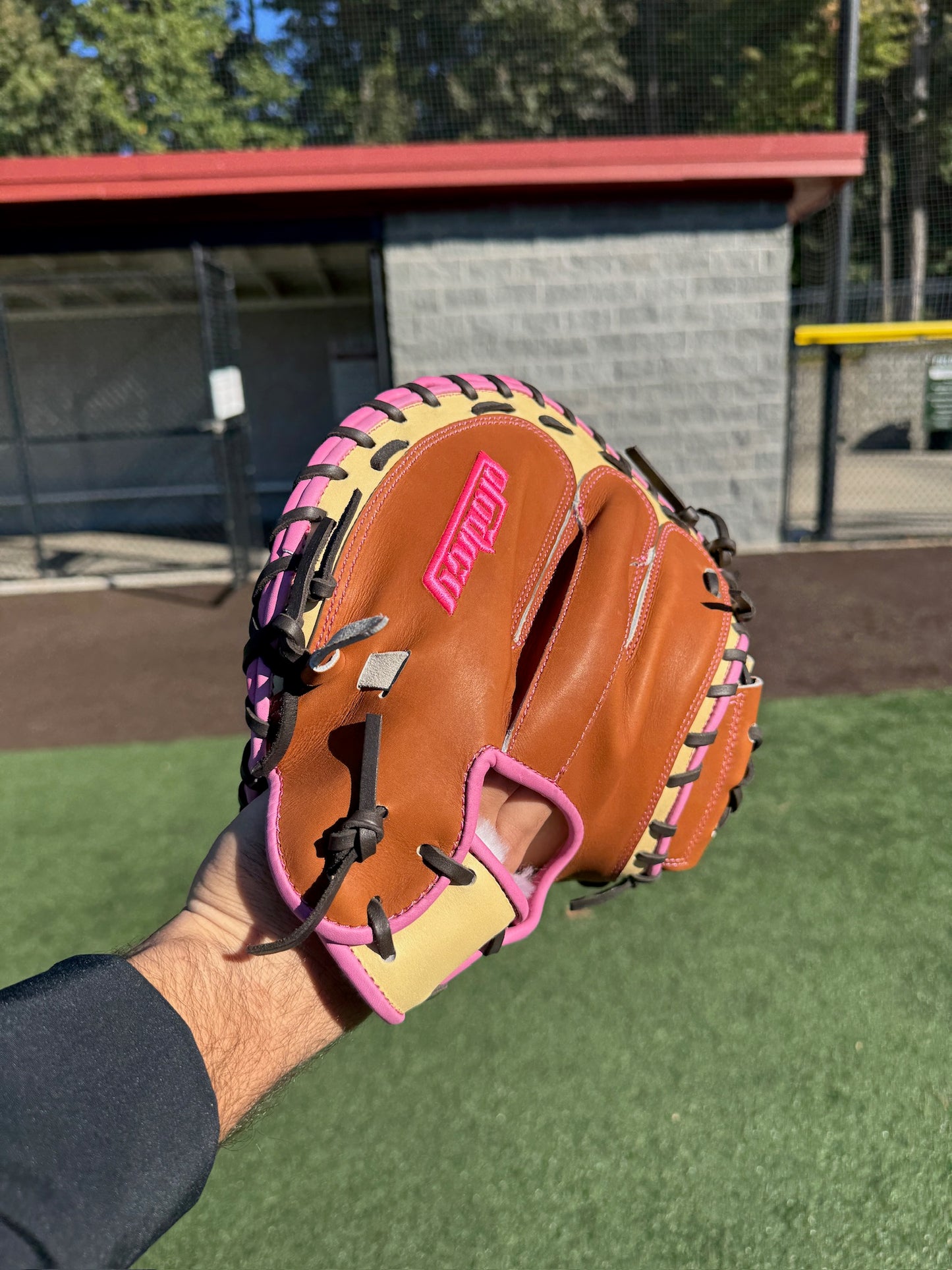 Behind the Plate: Catchers Mitt