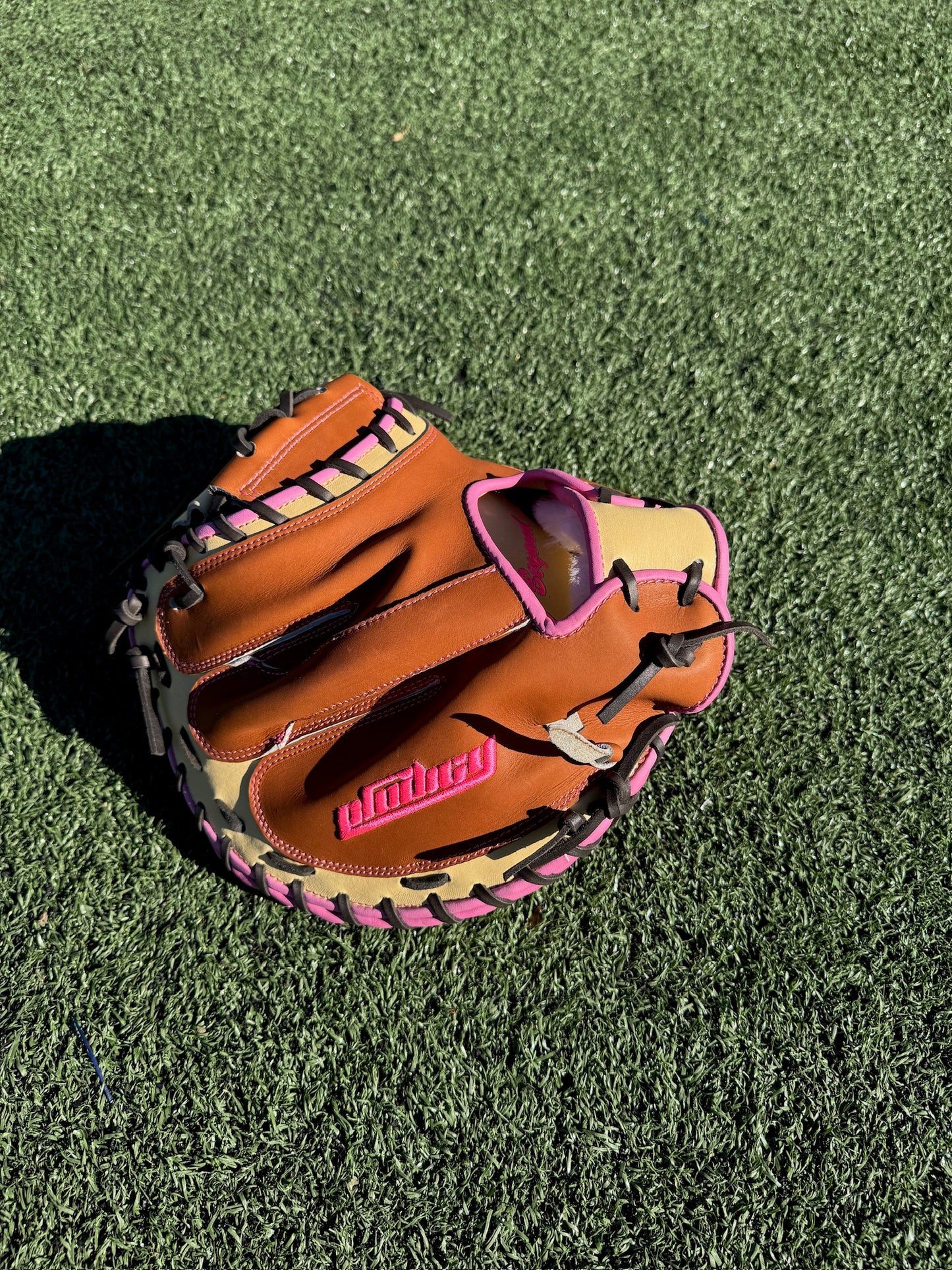 Behind the Plate: Catchers Mitt