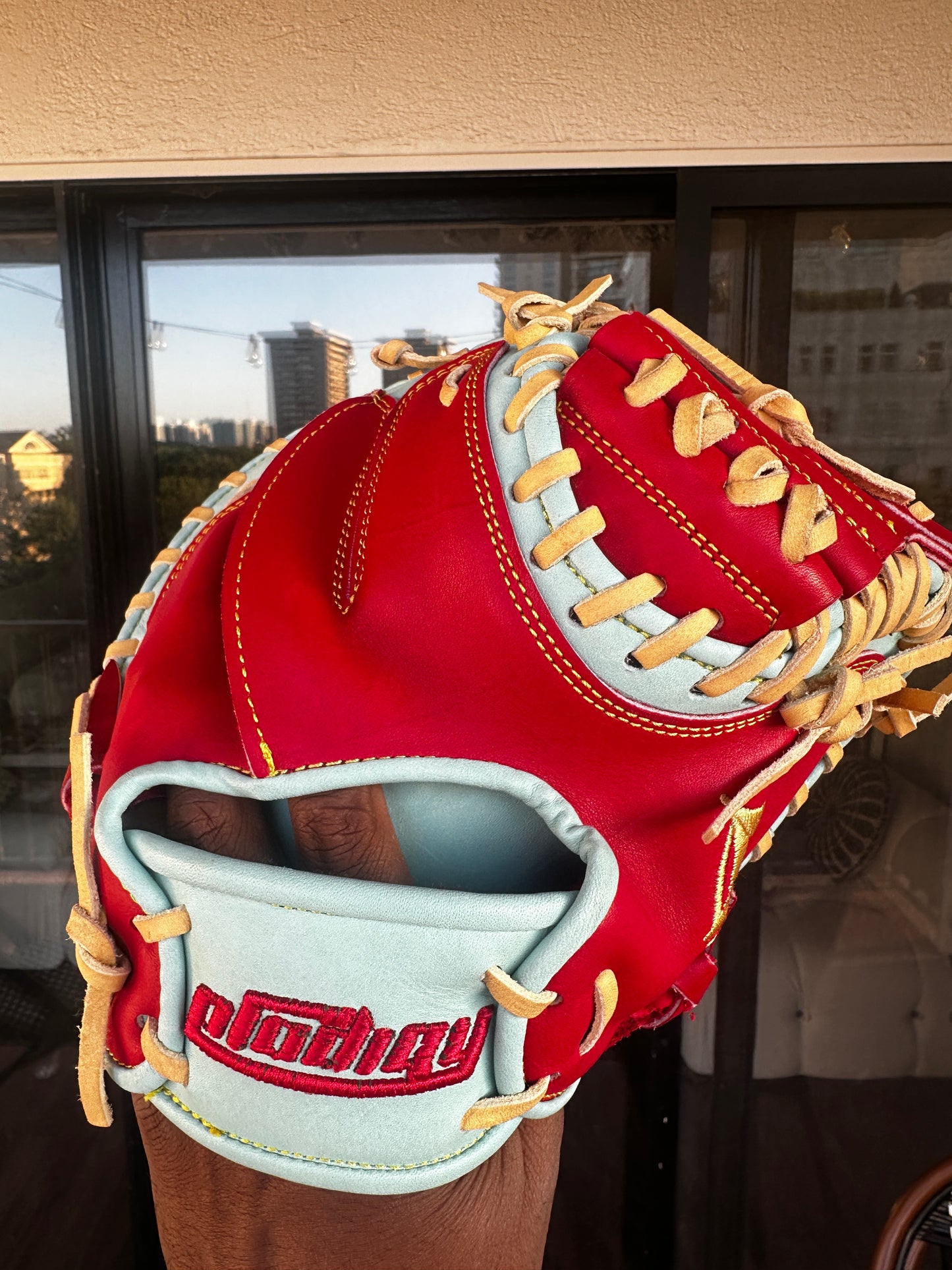 BEHIND THE DISH TRAINER