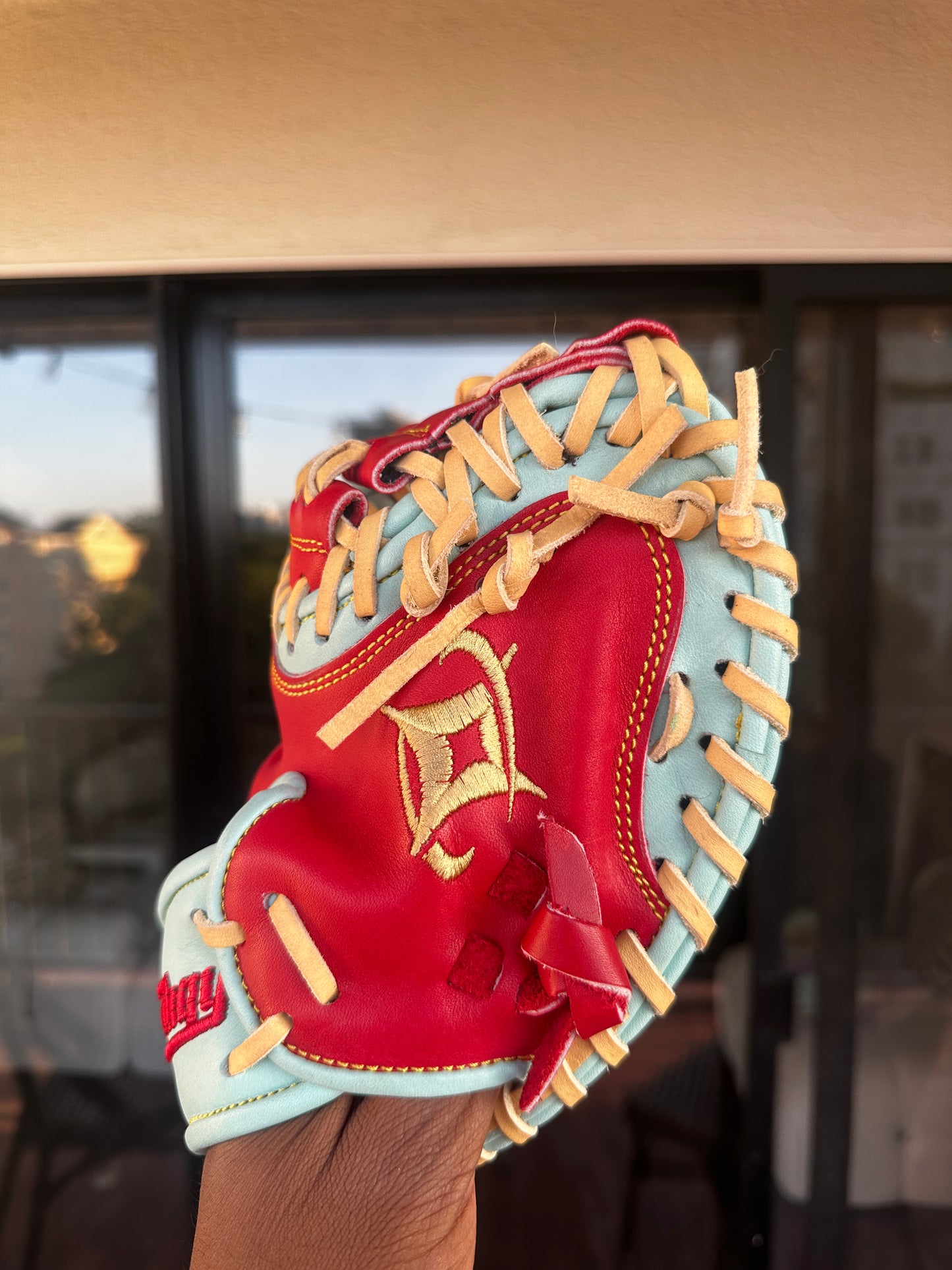 BEHIND THE DISH TRAINER