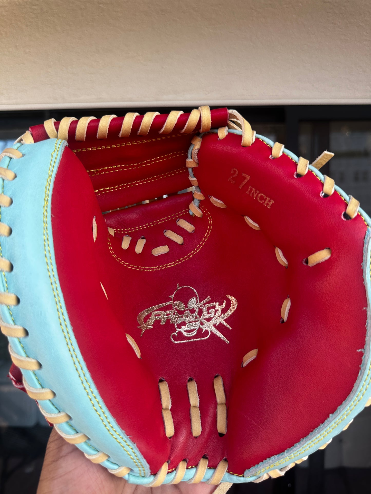 BEHIND THE DISH TRAINER
